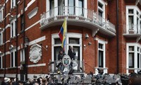 «WikiLeaks» откладывает публикацию сведений о Клинтон из соображений безопасности