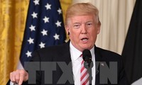 Дональд Трамп: в отношении КНДР “сработает только одна вещь“