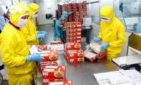 Экспорт продукции сельского, лесного и рыбного хозяйств за 5 месяцев увеличился более чем на 30% по сравнению с тем же периодом прошлого года