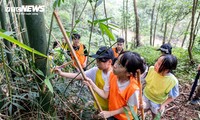 'Bỏ phố về rừng', trẻ được học cách sinh tồn, trồng cây bảo vệ rừng thế nào?