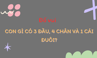 Con gì có 3 đầu, 4 chân và 1 cái đuôi?