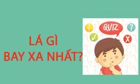 Đố vui: Lá gì bay xa nhất?