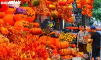 Đồ chơi Halloween ngập tràn, phố cổ Hà Nội trở nên ma mị