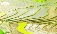 Khám phá ruộng bậc thang Mù Cang Chải mùa nước đổ