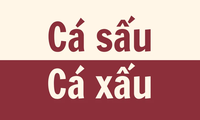 "Cá sấu" hay "cá xấu", đâu mới là cách viết đúng chính tả?
