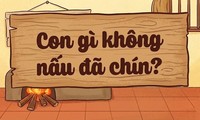 Đố bạn, con gì không nấu đã chín?