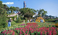 Đầu năm lên núi Bà Đen check-in với vườn hoa tulip rực sắc