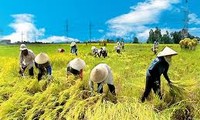 Konferensi promosi investasi perkembangan daerah dataran rendah sungai Mekong