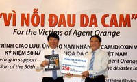 Kota Da Nang seperjalanan dengan kesakitan akibat agent oranye /dioxin.