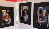 Pameran gambar “ Cara-cara memandang  tentang Vietnam” di Perancis