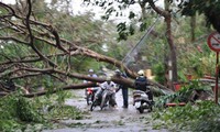 Terus mengatasi akibat taupan Son Tinh