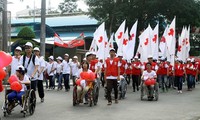 Seperjalanan  agent oranye /dioxin Vietnam- Republik Korea.