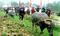 Piagam Warisan kebudayaan bukan kebendaan  nasional Pesta turun ke sawah