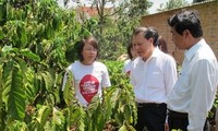  Deputi PM Vietnam, Vu Van Ninh melakukan kunjung  kerja di propinsi Dak Lak