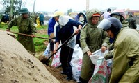 Semua daerah di Vietnam mengatasi akibat  taupan Jebi