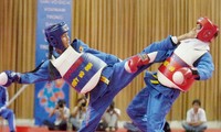 Penjelasan tentang Vovinam 