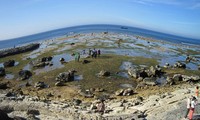 Pulau Ly Son pada musim menangkap ikan 