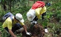 Melakukan investasi untuk menghadapi perubahan iklim di Vietnam