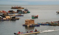 Kehidupan baru di pulau Hon Chuoi, provinsi Ca Mau