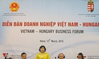  Vietnam merangsang Hungaria melakukan investasi pada industri dan logistik