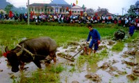 Penjelasan mengenai Pesta Long Tong (atau Pesta turun ke sawah) 