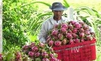  Mendorong kerjasama pertanian dan pengembangan pedesaan