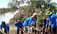 Musim panas yang hijau yang penuh arti dengan semua dukuh  di propinsi Dak Lak