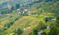 Ban Liên: Un voyage au cœur des traditions et des saisons