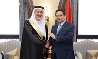 Pham Minh Chinh rencontre Amin Al-Nasser