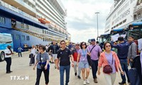 Le tourisme de croisière en plein essor à Quang Ninh