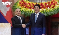 Entrevue entre le président Luong Cuong et le roi Norodom Sihamoni