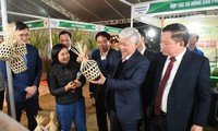 Prix Luong Dinh Cua: une jeune agricultrice réinvente la production de sel au Vietnam