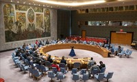 L’ONU appelle à une solution durable au conflit à Gaza