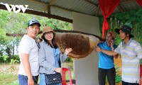 U Minh Ha: Là où la forêt se fait légende