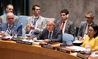 L’ONU réclame un arrêt des combats à Gaza