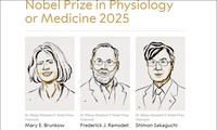 Nobel de médecine 2025: un trio récompensé pour la recherche sur le contrôle du système immunitaire