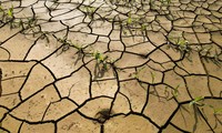 L’ONU appelle à lutter contre des désinformations sur le climat