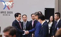 Le président Luong Cuong participe à la deuxième séance du 32e Sommet des dirigeants de l’APEC