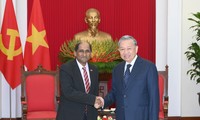 Tô Lâm reçoit l’ambassadeur de Singapour sortant