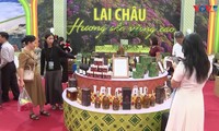 Foire d’Automne 2025: Lai Châu met en avant ses produits agricoles et médicinaux