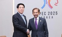 Le Sultan de Brunei attendu au Vietnam pour une visite d'État 