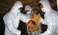 Ситуация с птичьим гриппом H7N9 в cтранах мира