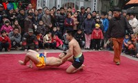 Весенний праздник национальной борьбы в ханойской деревне Майдонг