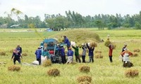 Когда крестьяне становятся акционерами предприятий