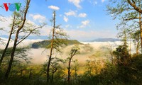 Красота туристического городка Шапа