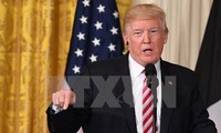 Американские СМИ освещают участие президента Д.Трампа в саммите АТЭС во Вьетнаме