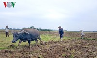 По всему Вьетнаму с новым подъемом начинается производственная деятельность