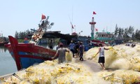 Дананг активно выясняет происхождение морепродуктов