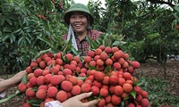 Укрепление взаимодействия между крестьянами в развитии сельского хозяйства