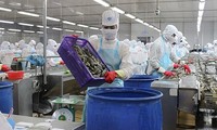 Вьетнам использует возможности для увеличения экспорта морепродуктов